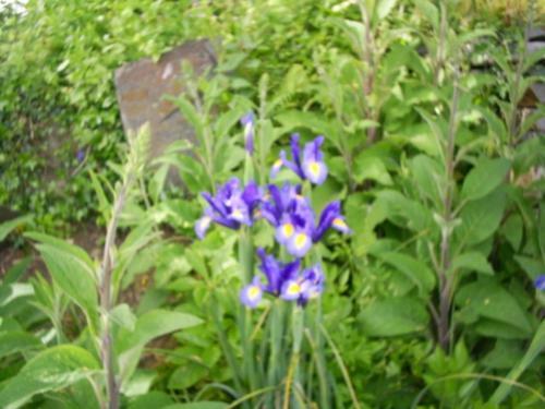 Bed & Breakfast Helstone House