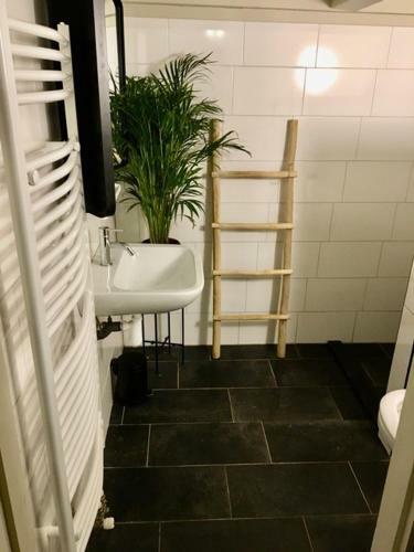 Apartamento Achterdemuur