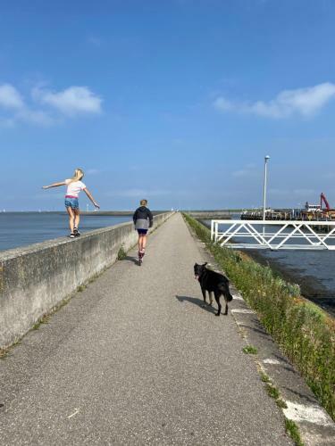 Apartamento Warm Welkom! Zeer Ruime Priv� Studio Met Tuin