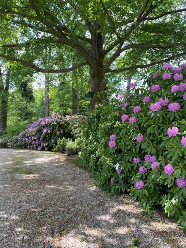 Bed And Breakfast Villa Beldershoek