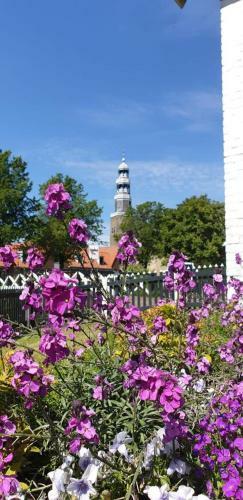 Vakantiehuis Uus Klinte Hindeloopen