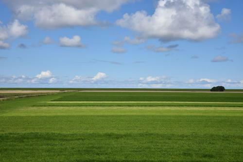 Sfeervol Vakantiehuis In Holwerd