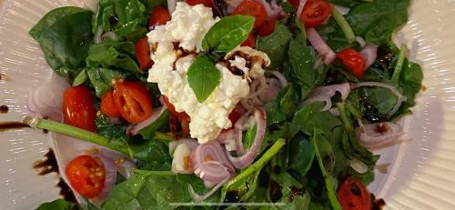 Bed & Breakfast de Tuinkamer-----priv� Diner Op de Kamer Mogelijk!!!