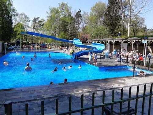 Amazing Chalet In Hoenderloo With A Swimming Pool