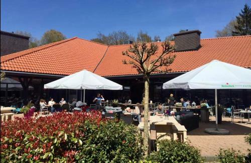Luxe Chalet Bij Hoenderloo