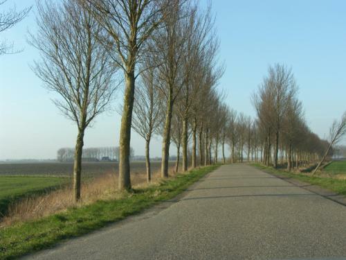 Bed & Breakfast Slapen Bij De Zeeuwse Lala
