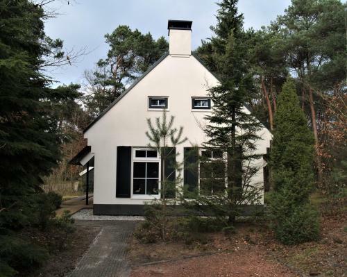 Villa De Witte Bergen 84
