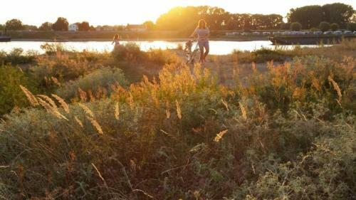 Bed & Breakfast Waard Van Kekerdom