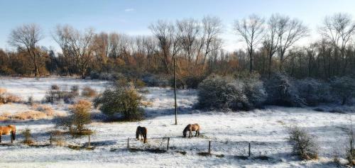 Bed & Breakfast Waard Van Kekerdom