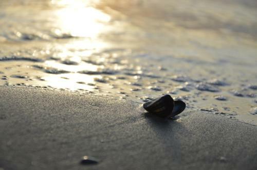 Hotel Breeze Ameland