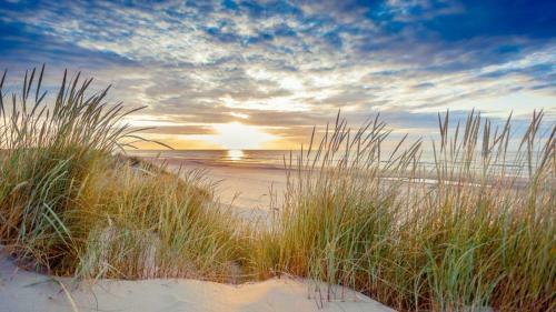 Apartamento Appartement, Kaap 123 - Ameland