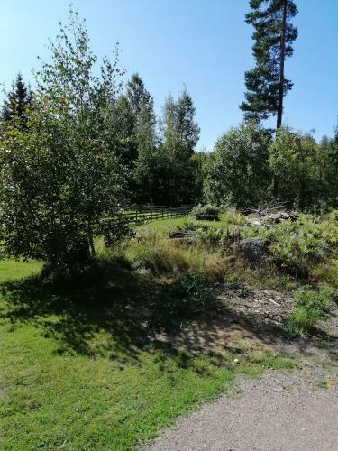 Apartamento L�genhet I Gullsp�ng Med Utsikt �ver Skogen
