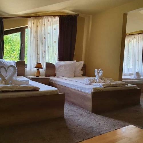 Albergue Pensiunea Mirela Pe?tera Ur?ilor