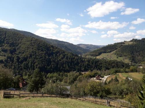 Hostal Casa Cu Muscate