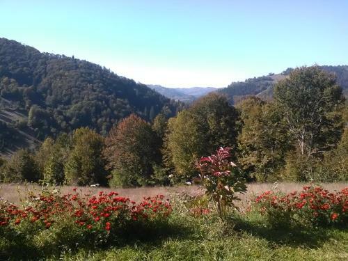 Hostal Casa Cu Muscate