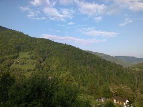 Hostal Casa Cu Muscate