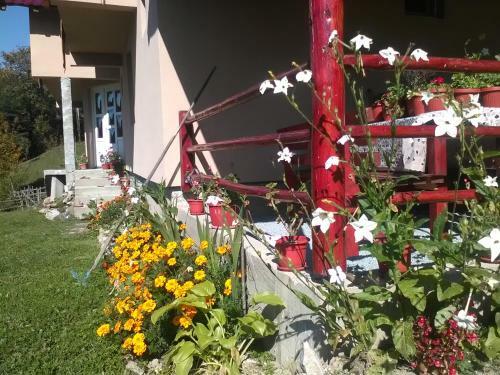 Hostal Casa Cu Muscate