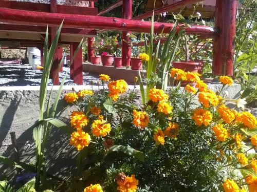 Hostal Casa Cu Muscate