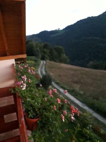 Hostal Casa Cu Muscate