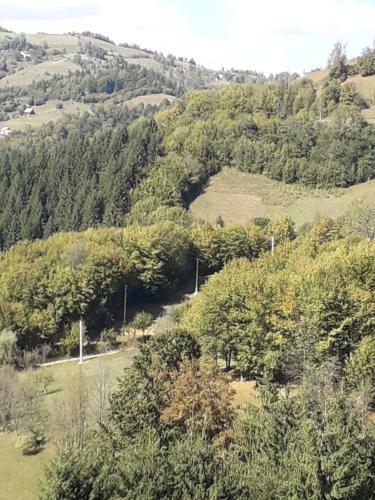 Hostal Casa Cu Muscate