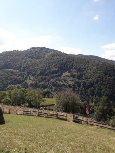 Hostal Casa Cu Muscate