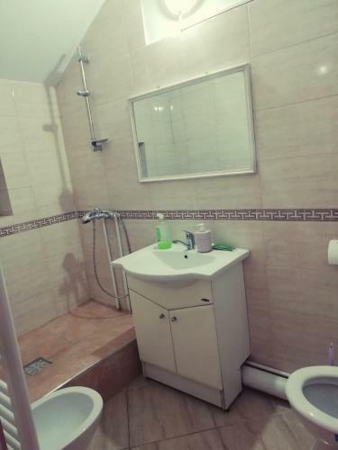 Hostal Pensiunea Nickos