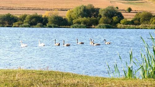 Agroturismo Stana Lui Aidan