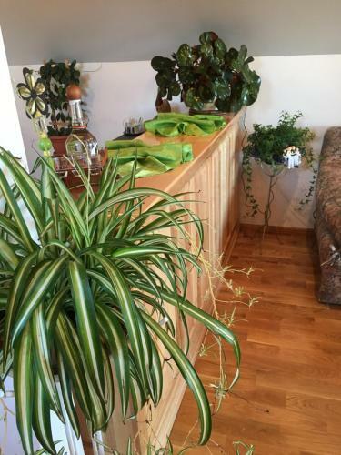 Apartamento Casa Gizell