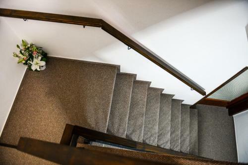 Hostal Pensiunea Bradet