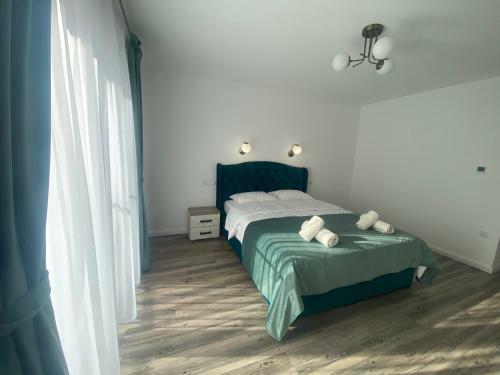 Villa Alpin House Colibita
