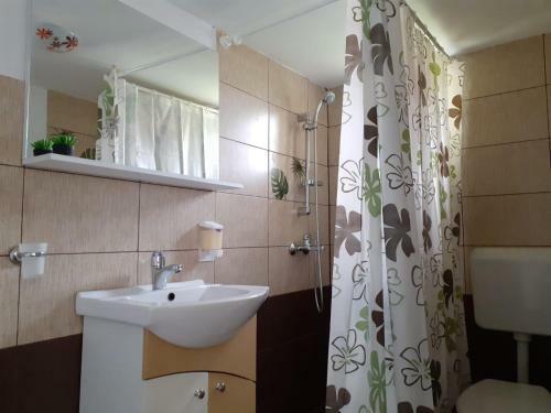 Hostal Pensiunea Antonia