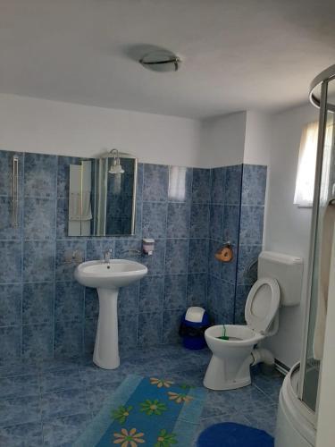Hostal Pensiunea Antonia