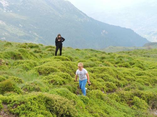 Agroturismo Pensiunea Bradul