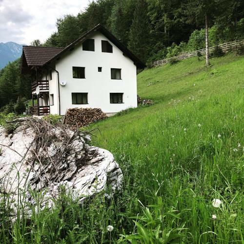 Villa Cabana Caprioara - Piatra Craiului