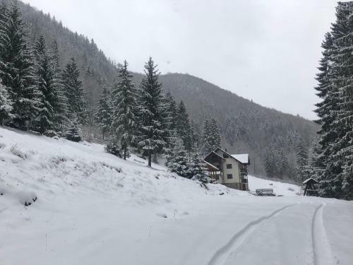 Villa Cabana Caprioara - Piatra Craiului