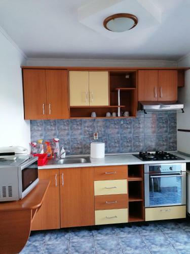 Apartament Spa?ios 3 Camere Curtea De Arge?