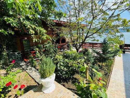 Hostal Casa Camelia
