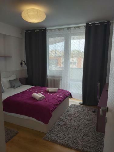 Chic Apartament