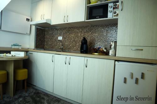 Apartament Ultracentral 2