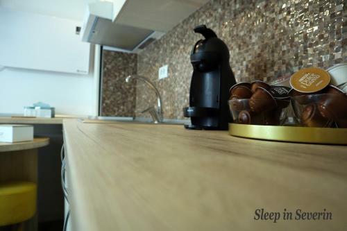 Apartament Ultracentral 2