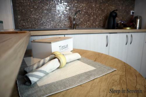 Apartament Ultracentral 2