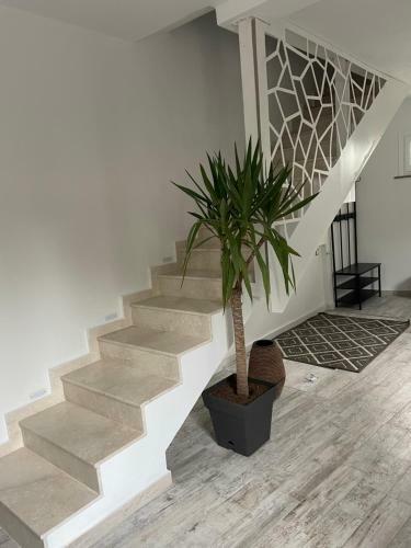 Villa Luxury House Teodora