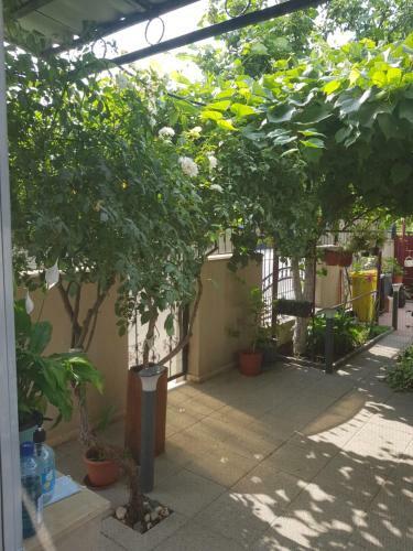 Apartamento Casa Any