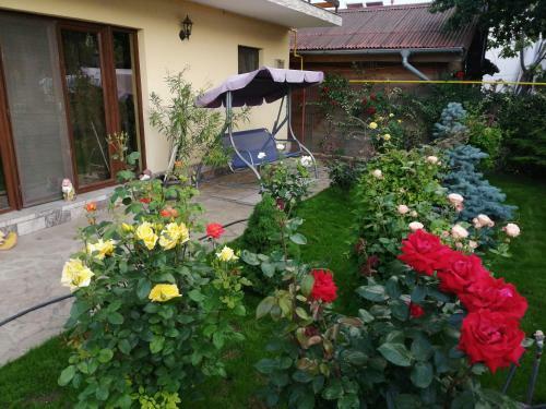 Hostal Casa David&alexia 2 Mai