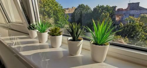 Apartamento Garsoniera Ultracentral