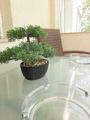 Apartament Cezar Faleza-nord Constanta