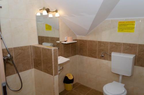 Apartamento Mansarda Mica Cu Baie Proprie