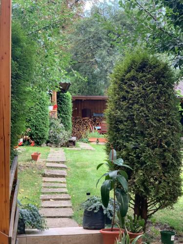 Apartamento Dana House In Central Cluj