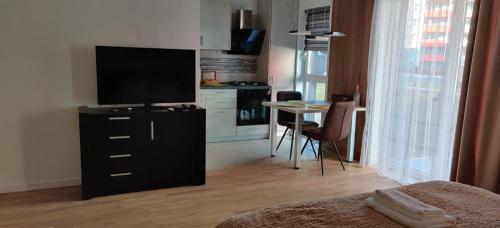 Apartament Sobarilor 38