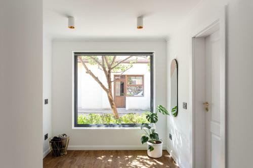 Designer Apartment In The City Center